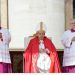 Pope Francis skips homily at Palm Sunday Mass in rare move