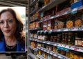 ‘Nail in the coffin’: Grocer turned House lawmaker trashes Kamala Harris’ price control plan