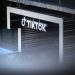 TikTok says ban would cost U.S. small businesses and creators $1.3B in first month
