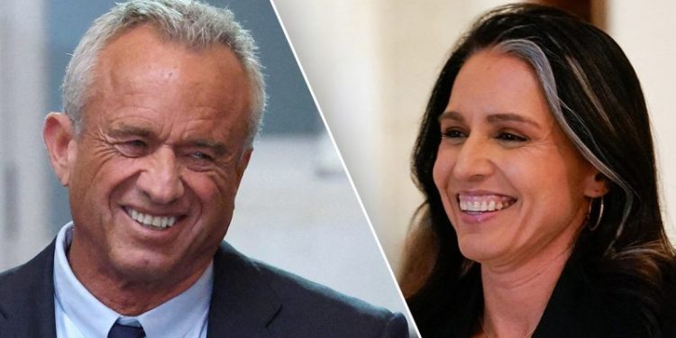 Trump’s most vulnerable nominees RFK Jr, Tulsi Gabbard get back-to-back hearings