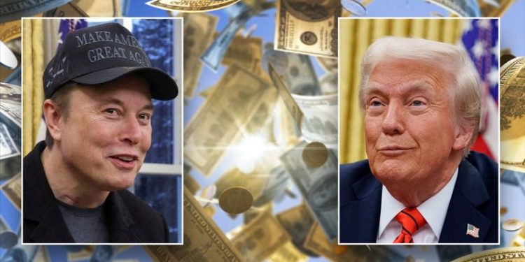 Trump allies mount campaign to get DOGE codified by Congress