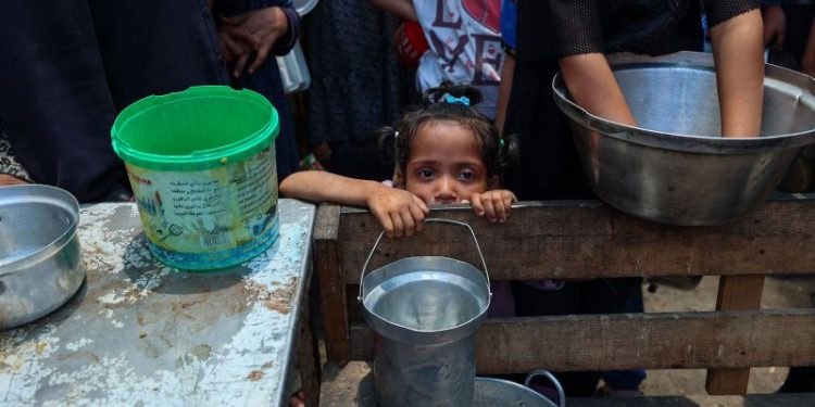 Aid to Gaza hangs by a thread amid looting and starvation