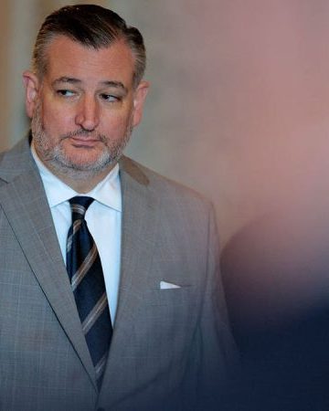 Ted Cruz urges US to arm Iranian protesters as militias threaten ‘total war’ against America